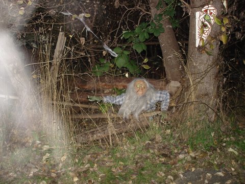 dsc02236.jpg